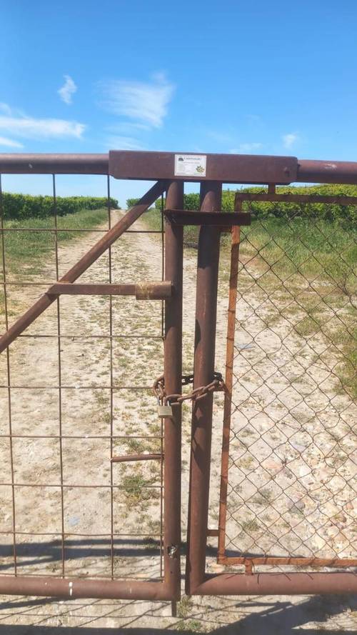 imagen 7 de FINCA DE REGADÍO CIRUELOS