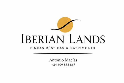 professional-img
