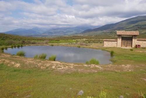 imagen 1 de Finca Rústica De 4 Hectáreas Cerca De Candeleda Con Gran Potencial.