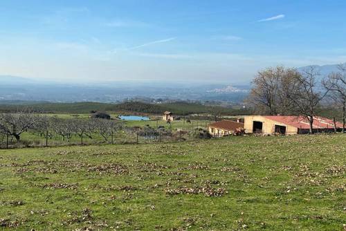 imagen 2 de Finca Rústica De 4 Hectáreas Cerca De Candeleda Con Gran Potencial.