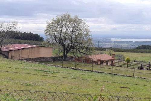 imagen 9 de Finca Rústica De 4 Hectáreas Cerca De Candeleda Con Gran Potencial.