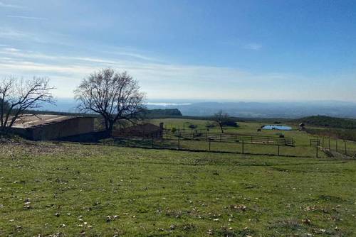 imagen 20 de Finca Rústica De 4 Hectáreas Cerca De Candeleda Con Gran Potencial.