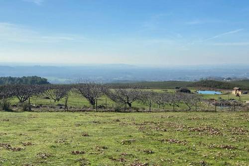 imagen 12 de Finca Rústica De 4 Hectáreas Cerca De Candeleda Con Gran Potencial.