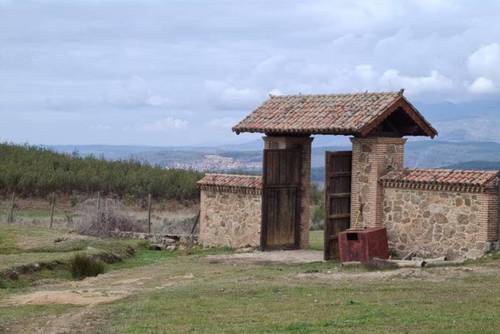 imagen 19 de Finca Rústica De 4 Hectáreas Cerca De Candeleda Con Gran Potencial.