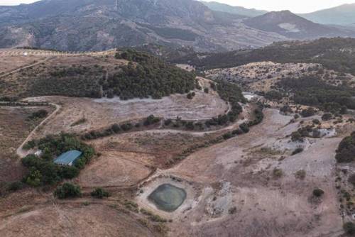 imagen 7 de Finca Ganadera Con Alojamiento Turistico