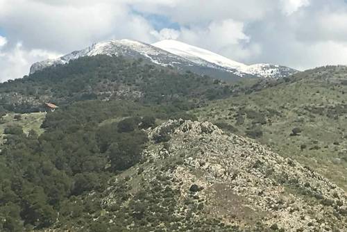 imagen 27 de Finca Ganadera Con Alojamiento Turistico