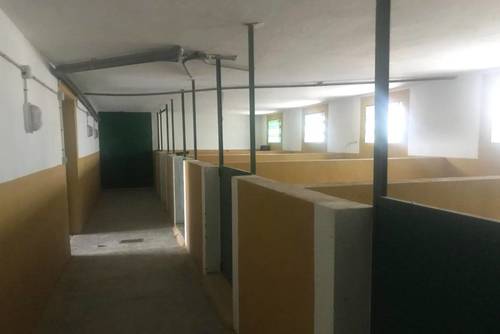 imagen 6 de Finca Ganadera Con Alojamiento Turistico