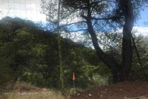 imagen 9 de Finca Ganadera Con Alojamiento Turistico