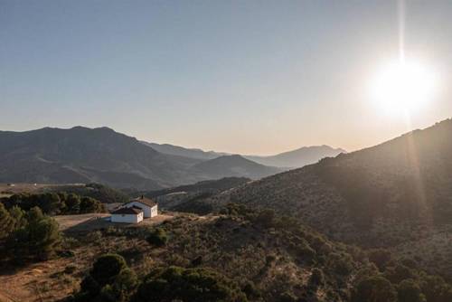 imagen 19 de Finca Ganadera Con Alojamiento Turistico