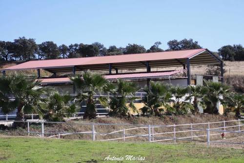 imagen 7 de Preciosa Finca Para Caballos Totalmente Equipada
