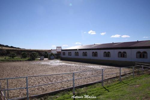imagen 8 de Preciosa Finca Para Caballos Totalmente Equipada