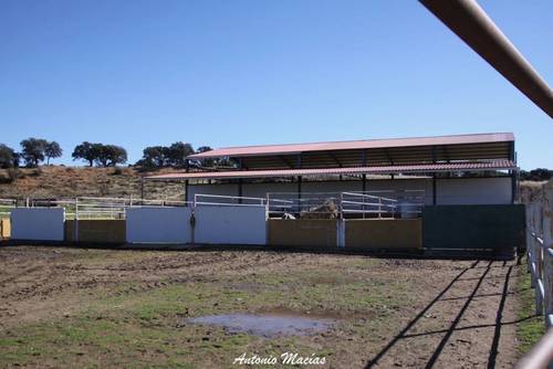 imagen 9 de Preciosa Finca Para Caballos Totalmente Equipada