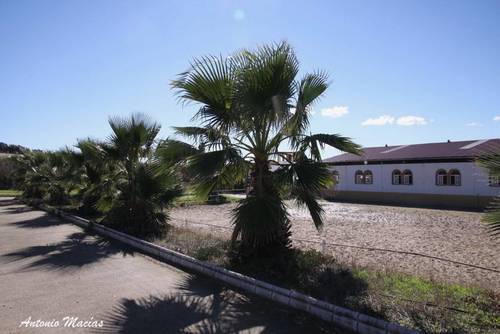 imagen 10 de Preciosa Finca Para Caballos Totalmente Equipada
