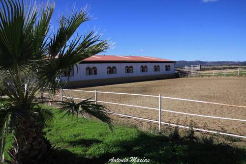 imagen 14 de Preciosa Finca Para Caballos Totalmente Equipada