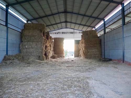 imagen 27 de Preciosa Finca Para Caballos Totalmente Equipada