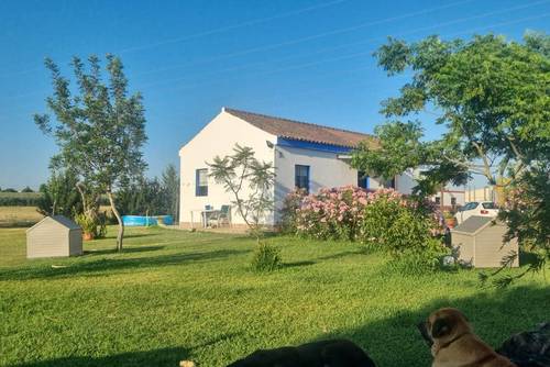 imagen 1 de Finca Ecuestre Cerca De Cádiz En Venta.