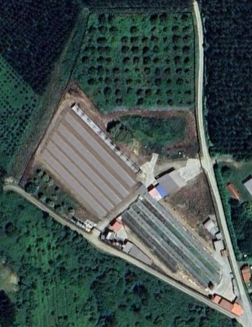 imagen 1 de Venta granja de conejos