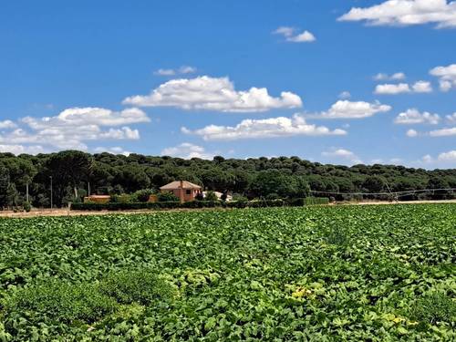 imagen 26 de Magnifica finca con gran casa para negocio