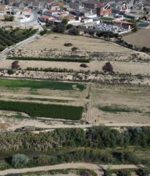imagen 1 de Preciosa Finca de regadío