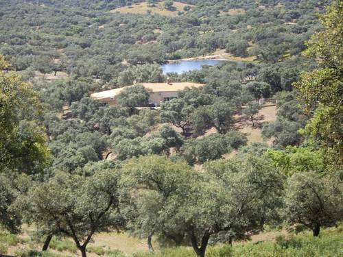 imagen 1 de Finca de 97 ha, 2 casas rurales y explotación ganadera porcina