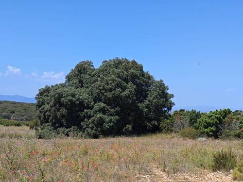 imagen 1 de Finca