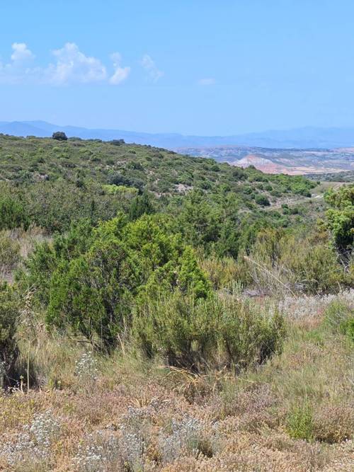 imagen 2 de Finca