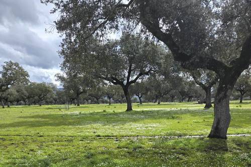 imagen 8 de Finca De Alto Valor En Entorno Natural Único.