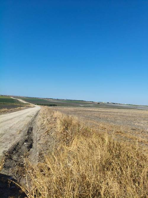 imagen 1 de Se vende Parcela agraria de 14ha