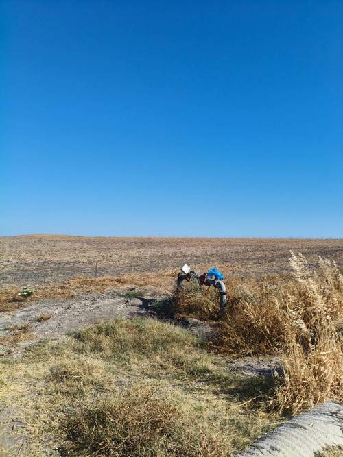 imagen 1 de Se vende Parcela agraria de 14ha