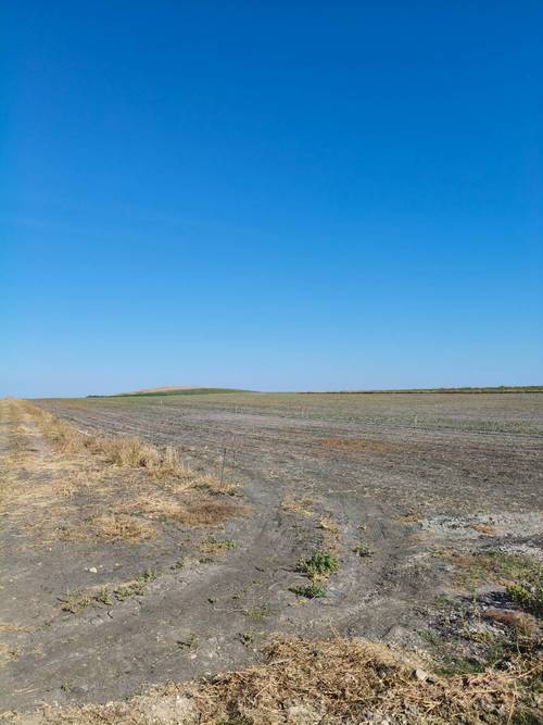 imagen 2 de Se vende Parcela agraria de 14ha