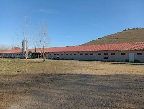 imagen 2 de Explotación Avícola de 1.500 m² en Pleno Funcionamiento