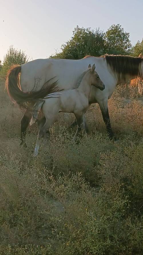 imagen 14 de Finca