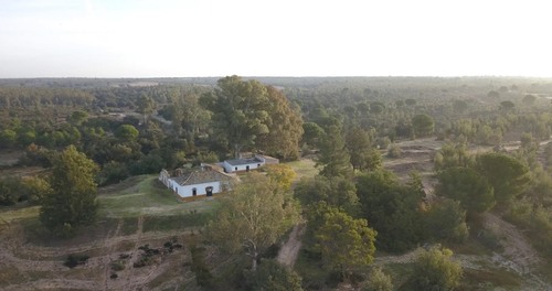 imagen 1 de Finca privada de 159 ha junto a Doñana -Almonte