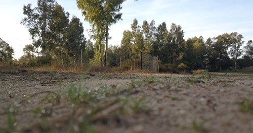 imagen 7 de Finca privada de 159 ha junto a Doñana -Almonte