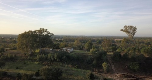 imagen 5 de Finca privada de 159 ha junto a Doñana -Almonte