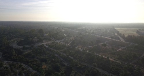 imagen 10 de Finca privada de 159 ha junto a Doñana -Almonte