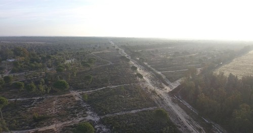 imagen 11 de Finca privada de 159 ha junto a Doñana -Almonte