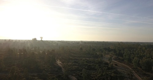 imagen 9 de Finca privada de 159 ha junto a Doñana -Almonte