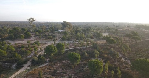imagen 12 de Finca privada de 159 ha junto a Doñana -Almonte