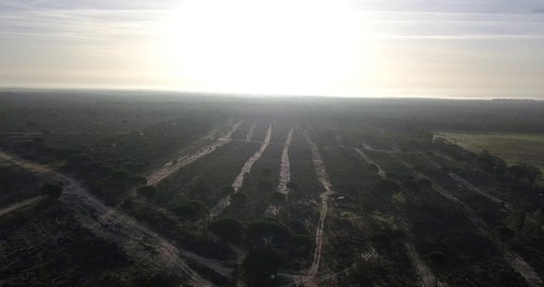 imagen 13 de Finca privada de 159 ha junto a Doñana -Almonte