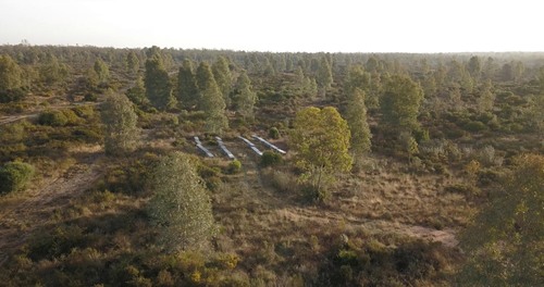 imagen 18 de Finca privada de 159 ha junto a Doñana -Almonte