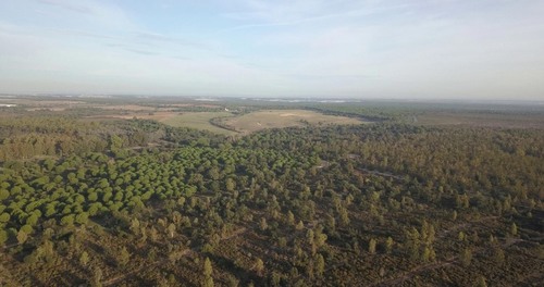 imagen 19 de Finca privada de 159 ha junto a Doñana -Almonte