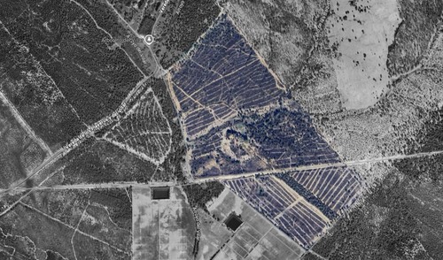 imagen 21 de Finca privada de 159 ha junto a Doñana -Almonte