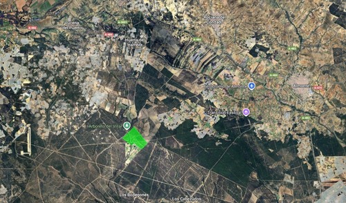 imagen 20 de Finca privada de 159 ha junto a Doñana -Almonte