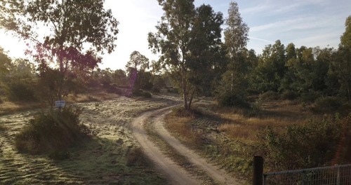 imagen 17 de Finca privada de 159 ha junto a Doñana -Almonte