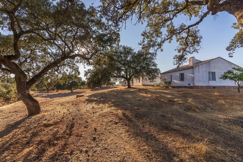 imagen 3 de Oportunidad Única: Venta de Complejo de Alojamiento Rural en el Andévalo de Huelva