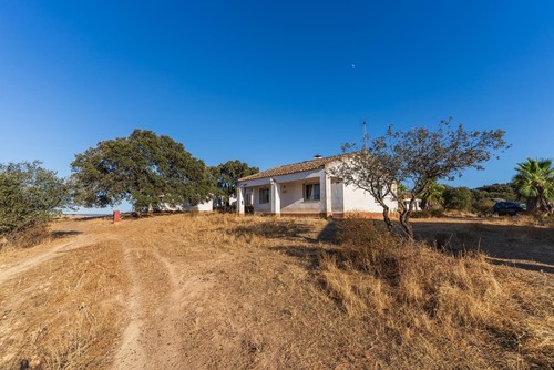 imagen 20 de Oportunidad Única: Venta de Complejo de Alojamiento Rural en el Andévalo de Huelva