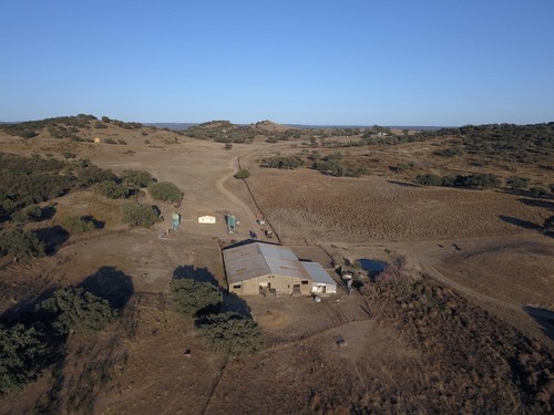 imagen 1 de Finca Rústica de 80 hectáreas en el Andévalo de Huelva