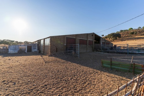 imagen 1 de Finca Rústica de 80 hectáreas en el Andévalo de Huelva