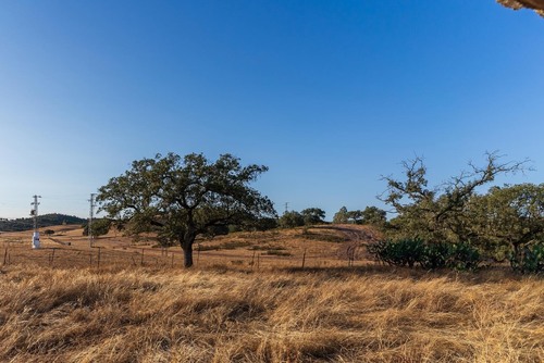 imagen 9 de Finca Rústica de 80 hectáreas en el Andévalo de Huelva
